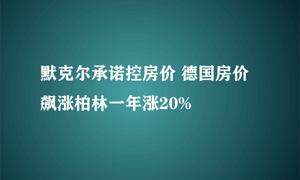 默克尔承诺控房价 德国房价飙涨柏林一年涨20%