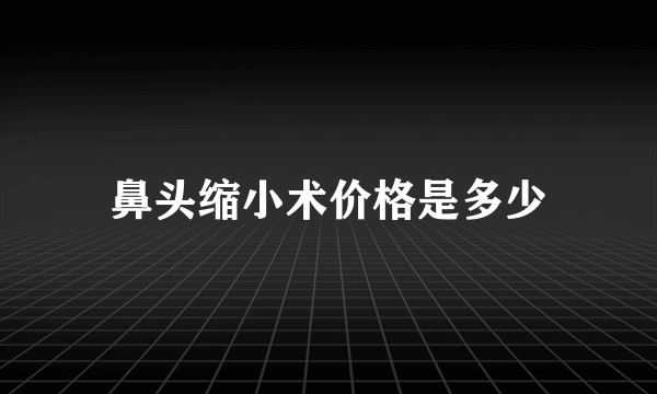 鼻头缩小术价格是多少