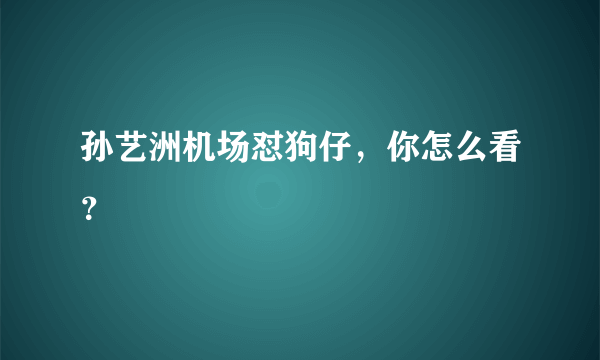 孙艺洲机场怼狗仔，你怎么看？