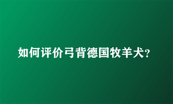 如何评价弓背德国牧羊犬？