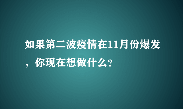 如果第二波疫情在11月份爆发，你现在想做什么？