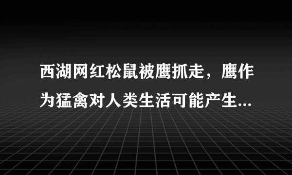 西湖网红松鼠被鹰抓走，鹰作为猛禽对人类生活可能产生什么影响？