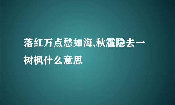 落红万点愁如海,秋霾隐去一树枫什么意思