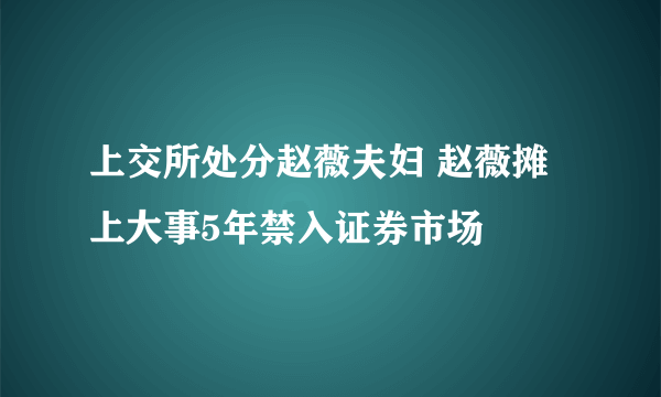 上交所处分赵薇夫妇 赵薇摊上大事5年禁入证券市场