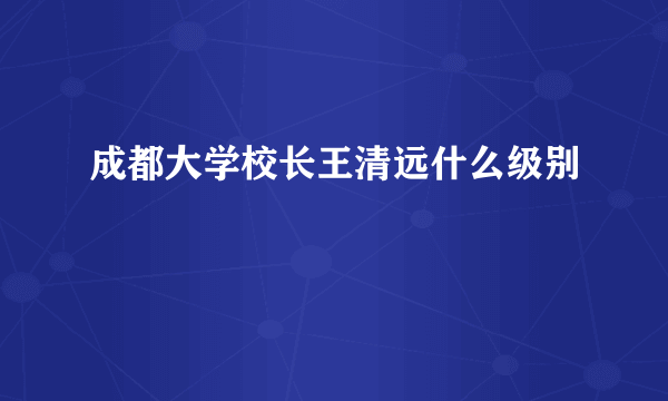 成都大学校长王清远什么级别