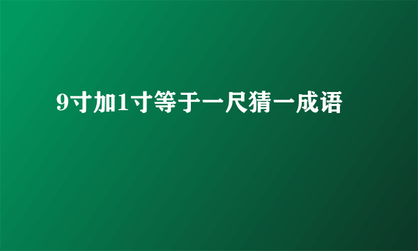 9寸加1寸等于一尺猜一成语