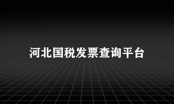 河北国税发票查询平台