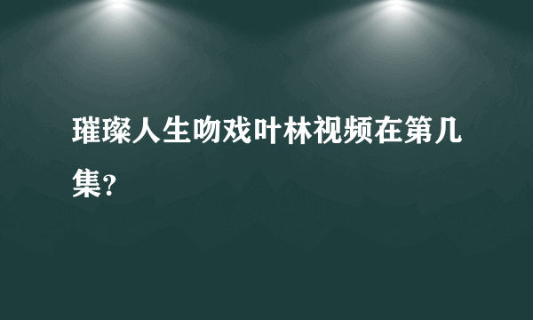 璀璨人生吻戏叶林视频在第几集？