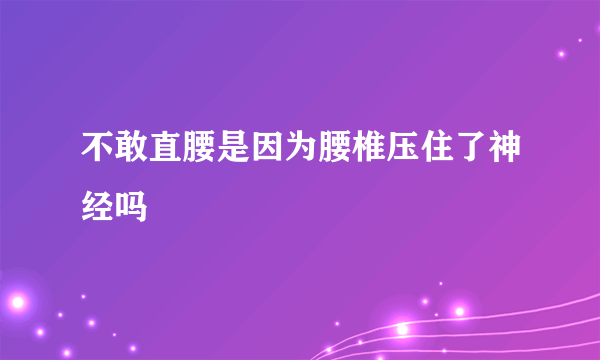 不敢直腰是因为腰椎压住了神经吗