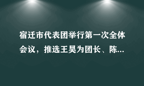 宿迁市代表团举行第一次全体会议，推选王昊为团长、陈忠伟叶辉高飞为副团长