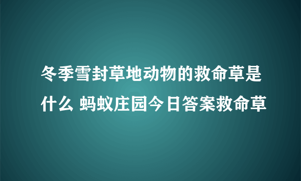 冬季雪封草地动物的救命草是什么 蚂蚁庄园今日答案救命草