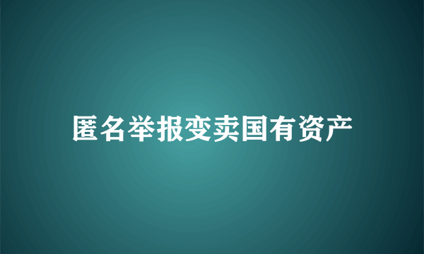 匿名举报变卖国有资产