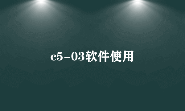 c5-03软件使用