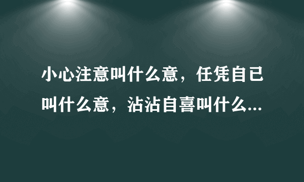 小心注意叫什么意，任凭自已叫什么意，沾沾自喜叫什么意，任意忘为叫什么意，心情爽快叫什么意，心术不正