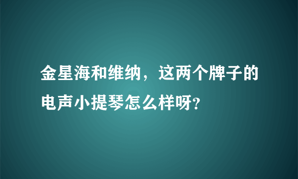 金星海和维纳，这两个牌子的电声小提琴怎么样呀？