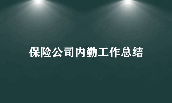 保险公司内勤工作总结