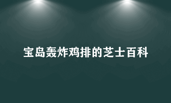 宝岛轰炸鸡排的芝士百科