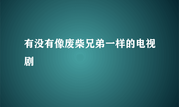 有没有像废柴兄弟一样的电视剧