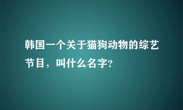 韩国一个关于猫狗动物的综艺节目，叫什么名字？