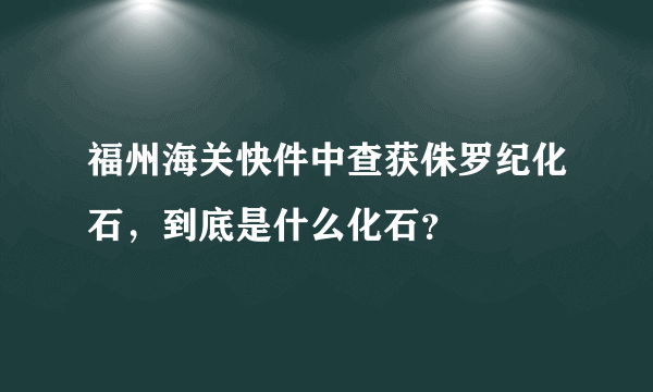 福州海关快件中查获侏罗纪化石，到底是什么化石？