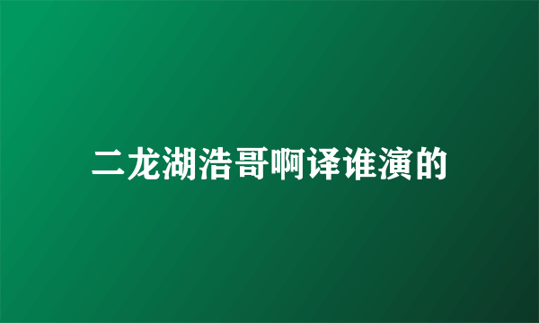 二龙湖浩哥啊译谁演的