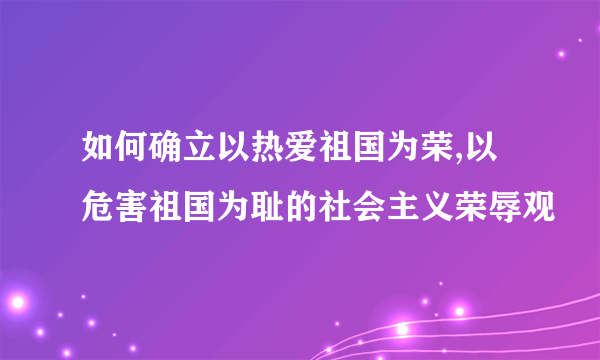 如何确立以热爱祖国为荣,以危害祖国为耻的社会主义荣辱观