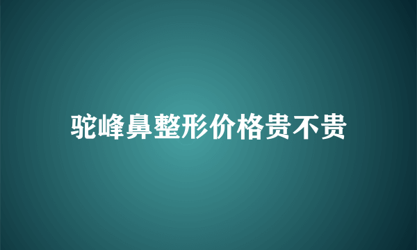 驼峰鼻整形价格贵不贵