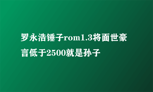 罗永浩锤子rom1.3将面世豪言低于2500就是孙子