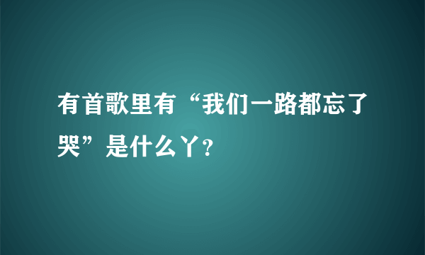 有首歌里有“我们一路都忘了哭”是什么丫？