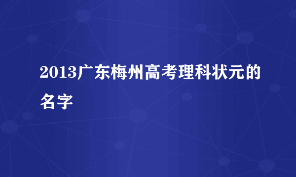 2013广东梅州高考理科状元的名字