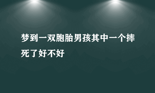 梦到一双胞胎男孩其中一个摔死了好不好