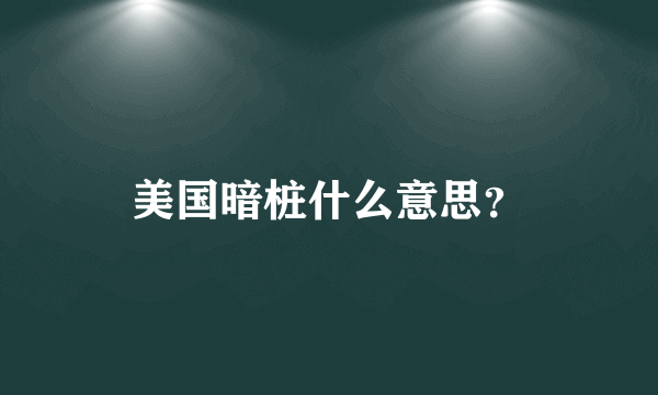 美国暗桩什么意思？