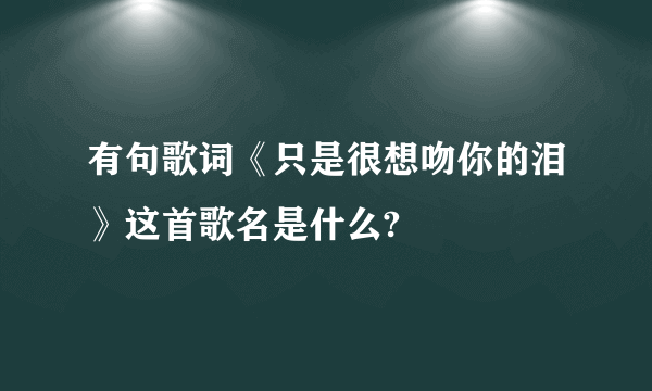 有句歌词《只是很想吻你的泪》这首歌名是什么?