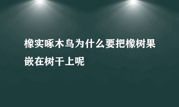 橡实啄木鸟为什么要把橡树果嵌在树干上呢