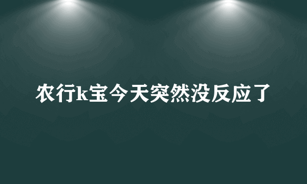 农行k宝今天突然没反应了