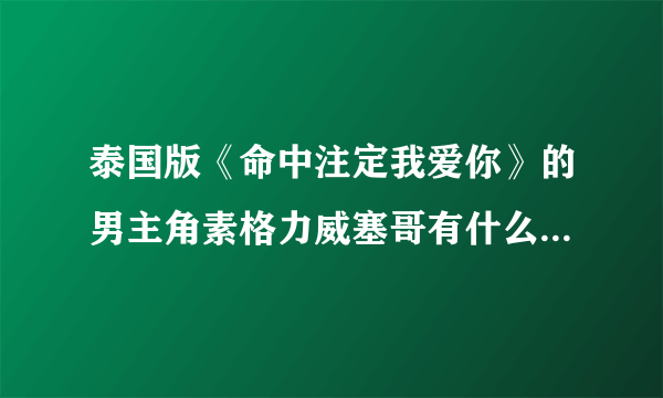 泰国版《命中注定我爱你》的男主角素格力威塞哥有什么演艺经历？