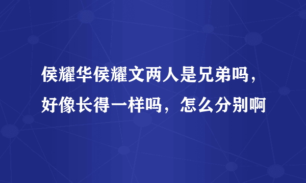 侯耀华侯耀文两人是兄弟吗，好像长得一样吗，怎么分别啊