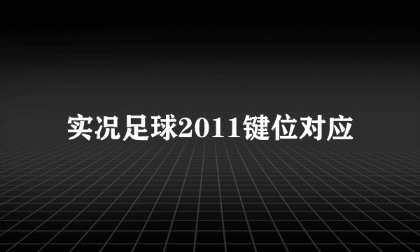 实况足球2011键位对应