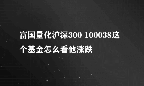 富国量化沪深300 100038这个基金怎么看他涨跌