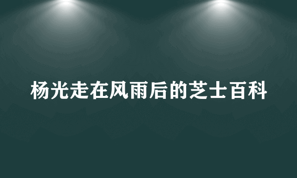 杨光走在风雨后的芝士百科