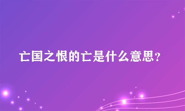 亡国之恨的亡是什么意思？