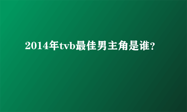 2014年tvb最佳男主角是谁？