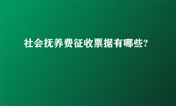 社会抚养费征收票据有哪些?