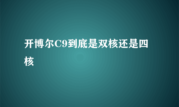 开博尔C9到底是双核还是四核