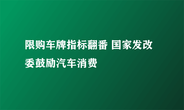 限购车牌指标翻番 国家发改委鼓励汽车消费