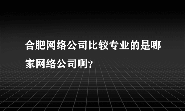 合肥网络公司比较专业的是哪家网络公司啊？