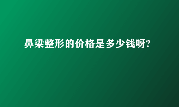 鼻梁整形的价格是多少钱呀?