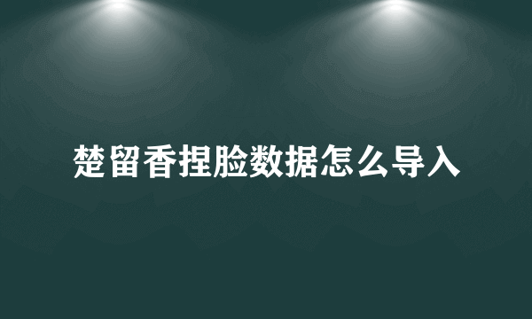 楚留香捏脸数据怎么导入