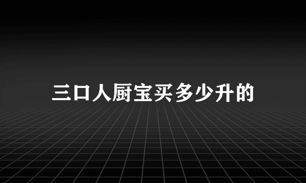 三口人厨宝买多少升的