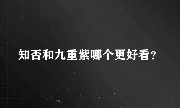 知否和九重紫哪个更好看？